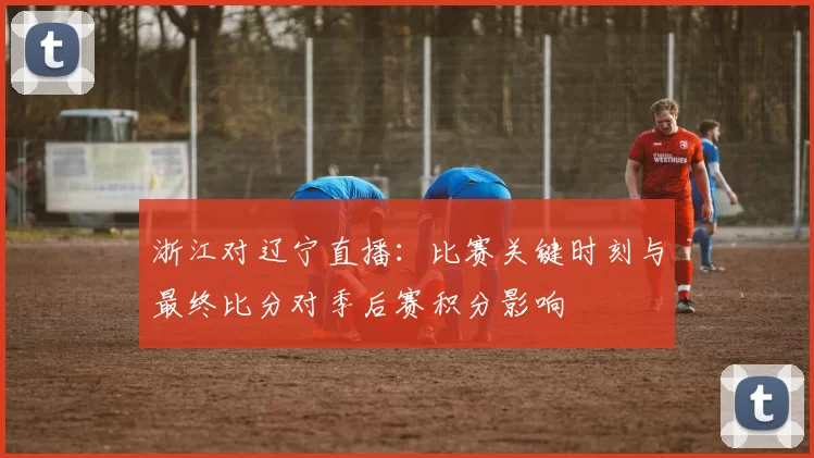 浙江对辽宁直播：比赛关键时刻与最终比分对季后赛积分影响