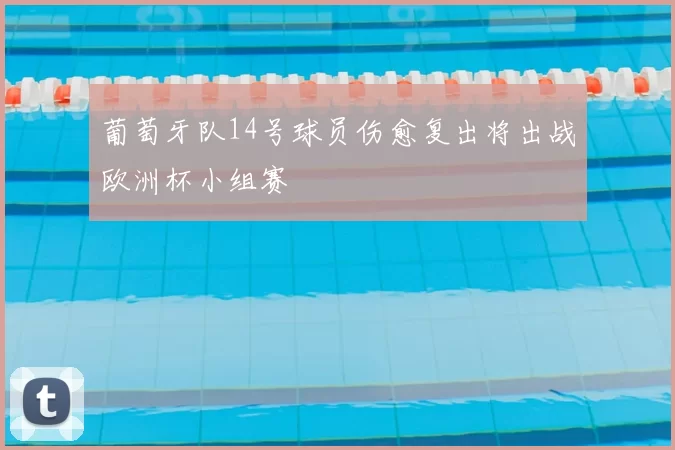 葡萄牙队14号球员伤愈复出将出战欧洲杯小组赛