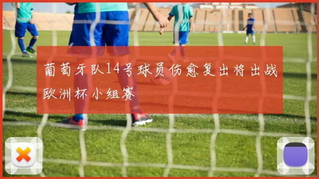 葡萄牙队14号球员伤愈复出将出战欧洲杯小组赛